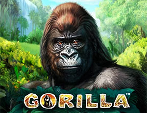 Gorilla