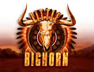 Little Bighorn