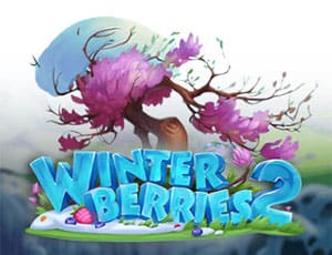 Winterberries 2