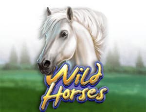 Wild Horses